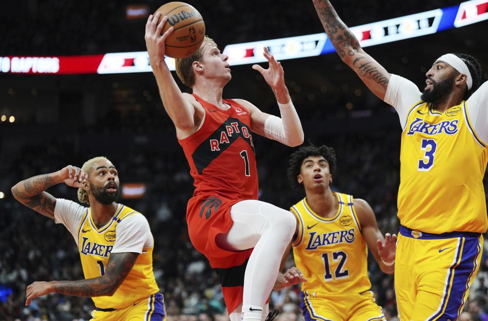 业生涯的新 业生涯的新